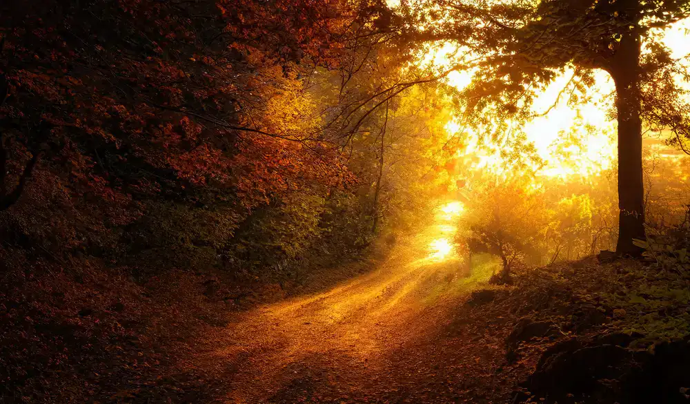 Nature and landscape jigsaw puzzles